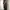 Adidas Y2K Sportswear Tracksuit Pria black photo 1
