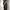 Adidas Y2K Sportswear Tracksuit Pria Black