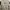 Erigo Casual Suit Pria cream photo 1