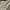 Crocodile Streetwear Luxury Bomber jacket Pria tan photo 6