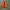 Alpha Industries Vintage Casual Bomber jacket Pria orange gray photo 5