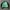 GAP Vintage Casual Bomber jacket Pria green khaki photo 4