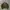 GAP Vintage Casual Bomber Jacket Pria Green Khaki