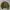 GAP Vintage Casual Bomber jacket Pria green khaki photo 3