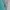 Patagonia Avant Garde Windbreaker Pria Blue