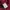 Nike Vintage Streetwear Windbreaker Pria red photo 4
