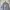 Stussy Vintage Streetwear Sweater Pria gray photo 2