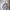 Stussy Vintage Streetwear Sweater Pria gray photo 1
