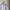 Stussy Vintage Streetwear Sweatshirt Pria white photo 2