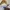 Stussy Vintage Streetwear Sweatshirt Pria white photo 3