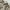 Carhartt Vintage Streetwear Casual pants Pria khaki photo 8