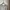 Stussy Vintage Streetwear Sweater Pria Gray