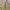 Carhartt Streetwear Casual Casual pants Pria khaki photo 4