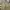 Carhartt Streetwear Casual Casual pants Pria khaki photo 3