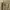Carhartt Streetwear Casual Casual pants Pria khaki photo 5