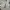 Carhartt Streetwear Casual Casual pants Pria silver photo 4