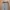 Giordano Minimalist Casual Formal pants Pria tan photo 2