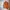 Stussy Vintage Streetwear Sweater Pria orange photo 1