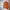 Stussy Vintage Streetwear Sweater Pria Orange