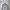 Stussy Vintage Streetwear Hoody Pria gray photo 2