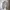 Stussy Vintage Streetwear Hoody Pria gray photo 1