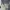 Nike Streetwear Skater Sneakers Pria multicolor white photo 2