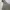 Covernat Gorpcore Track jacket Pria cream photo 7