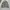 Covernat Gorpcore Track jacket Pria cream photo 3