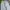 Japanese brand Grunge Emo Jeans Pria white blue photo 2