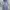 Japanese brand Streetwear Skater Jeans Pria white blue photo 2