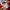 Umbro Sportswear Jersey Pria white red photo 4