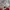 Umbro Sportswear Jersey Pria white red photo 5