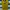 Sportswear Casual Jersey Pria gold yellow photo 2