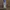 Japanese brand Vintage Y2K Skirt Wanita white navy photo 8