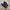 Salomon Vintage Casual Casual shoe Pria black gray photo 3