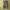 Oakley Men's Tactical Field Gear Camo Cargo Shorts RN69548 photo 3