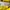 Puma Sportswear Casual Jersey Pria yellow photo 7