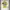 Puma Sportswear Casual Jersey Pria yellow photo 1