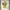 Puma Sportswear Casual Jersey Pria Yellow