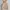 Streetwear Sportswear Puffer jacket Wanita cream photo 1