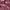 Champion Streetwear Casual Sweater Pria burgundy photo 2