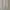 ZARA Luxury Minimalist Wanita cream photo 1