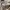 ZARA Luxury Minimalist Wanita cream photo 3
