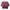 Champion Streetwear Casual Sweater Pria Burgundy