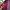 Japanese brand Grunge Muslim Scarf Pria burgundy photo 2