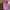 Gosha Rubchinskiy Biker Casual Hat Pria pink photo 2