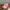 Gosha Rubchinskiy Biker Casual Hat Pria pink photo 1