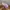 Gosha Rubchinskiy Biker Casual Hat Pria pink photo 4