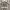 Calvin Klein Casual Bra Wanita gray photo 1