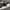 Asics Sportswear Futurist Sneakers Pria white black photo 2